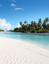 nesting place for turtles