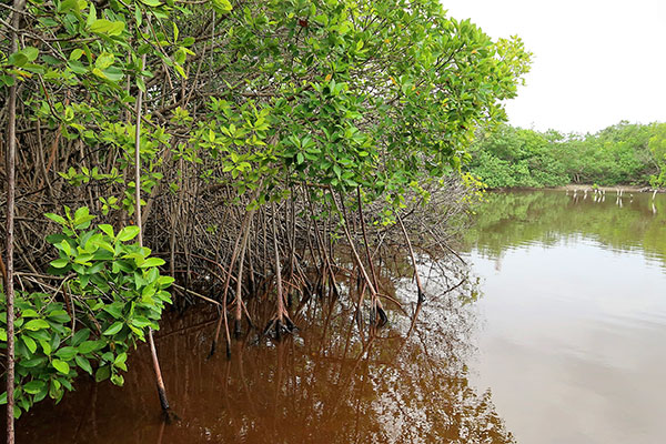 thakafath-filadhoo