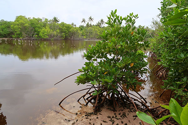 thakafathi-filadhoo2