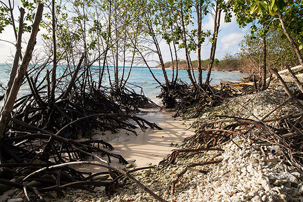 filladhoo-i