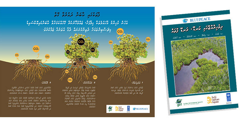 mangrove-poster-booklet2