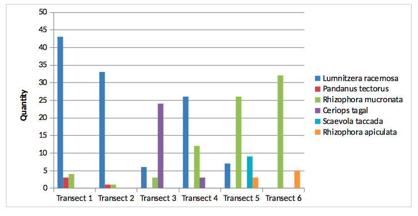 vegetation-transacts